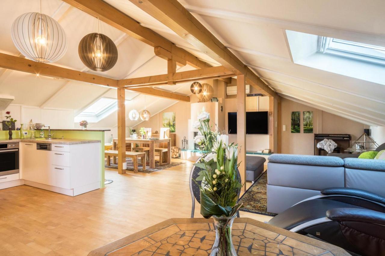 Luxurioeses Penthouse-Appartement Höchst Kültér fotó